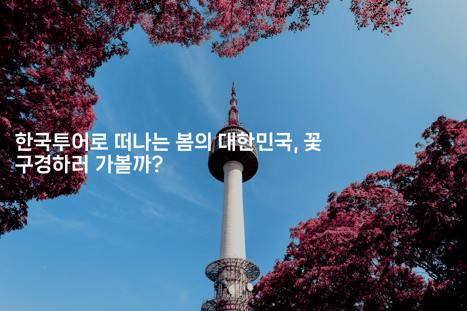 한국투어로 떠나는 봄의 대한민국, 꽃 구경하러 가볼까?2-미드고