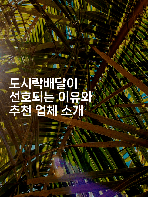 도시락배달이 선호되는 이유와 추천 업체 소개2-미드고