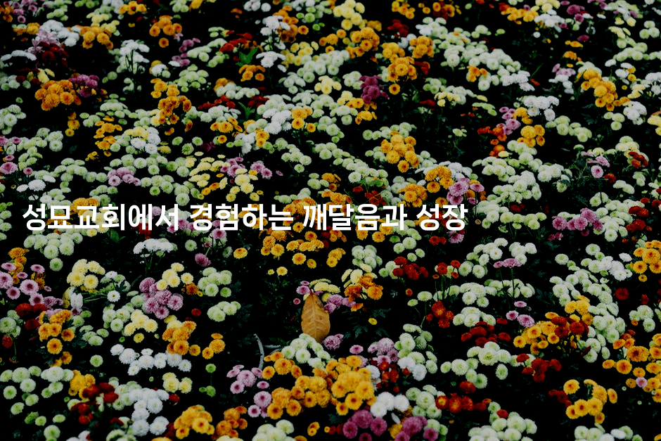 성묘교회에서 경험하는 깨달음과 성장2-미드고