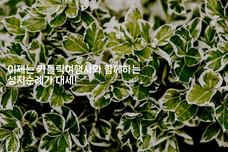 이제는 카톨릭여행사와 함께하는 성지순례가 대세! -미드고