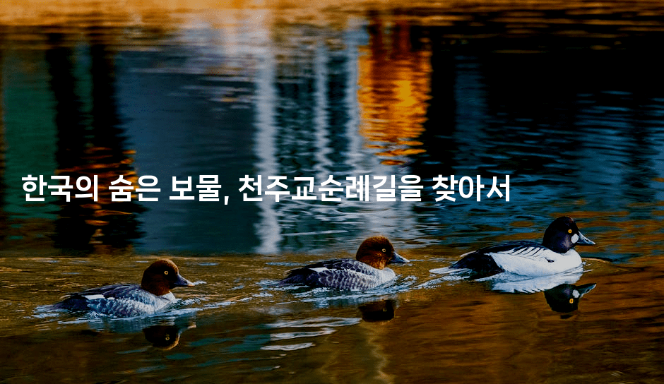 한국의 숨은 보물, 천주교순례길을 찾아서-미드고