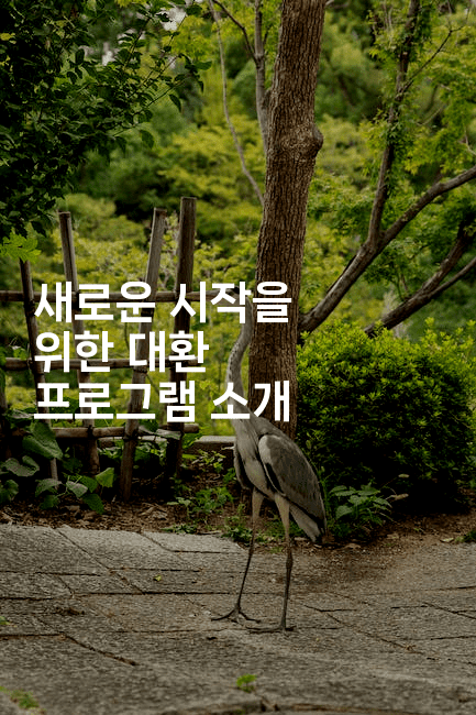 새로운 시작을 위한 대환 프로그램 소개-미드고