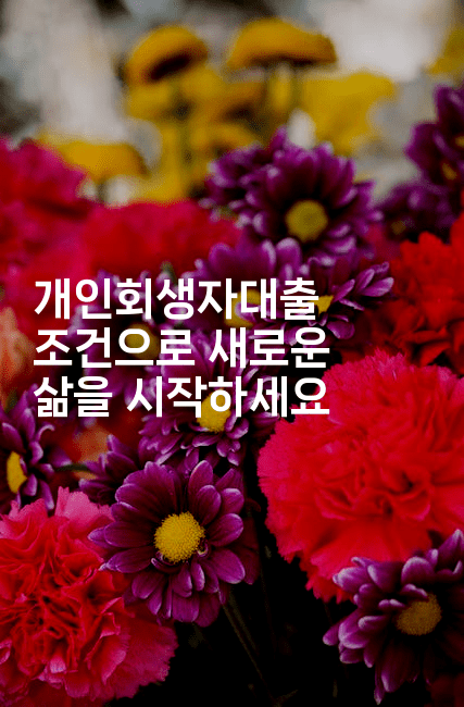 개인회생자대출 조건으로 새로운 삶을 시작하세요-미드고