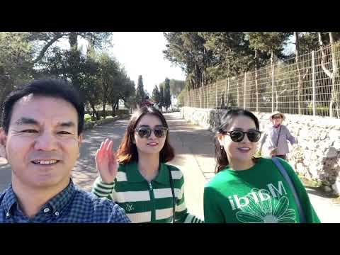 ??이스라엘 성지순례 여행 브이로그 Full ver. (Israel trip vlog)??