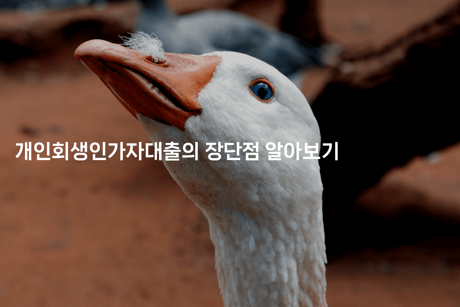 개인회생인가자대출의 장단점 알아보기-미드고