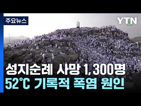 성지순례 사망자 1,300명...취약층 더 큰 피해 / YTN