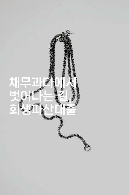 채무과다에서 벗어나는 길, 회생파산대출-미드고