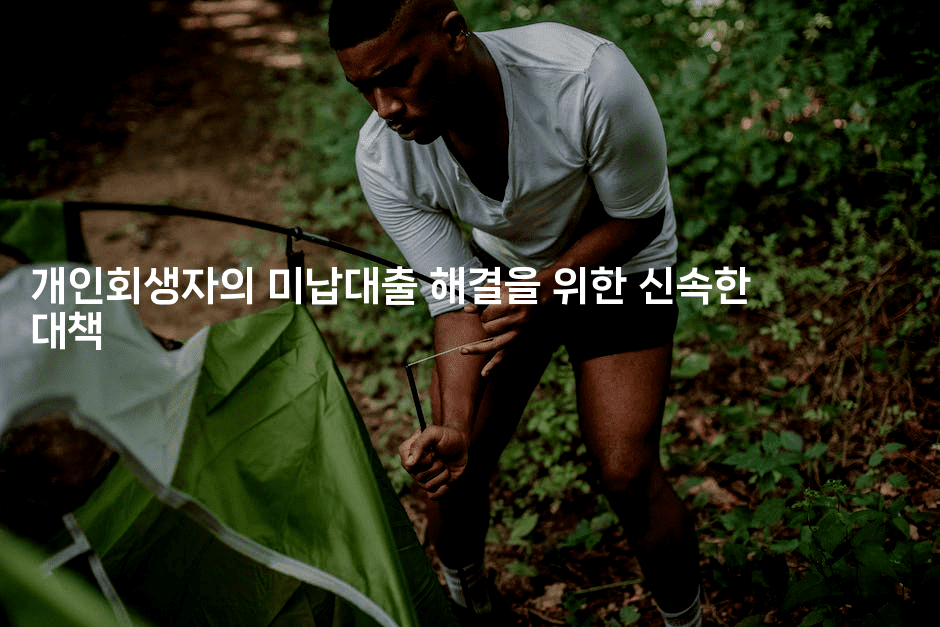 개인회생자의 미납대출 해결을 위한 신속한 대책-미드고