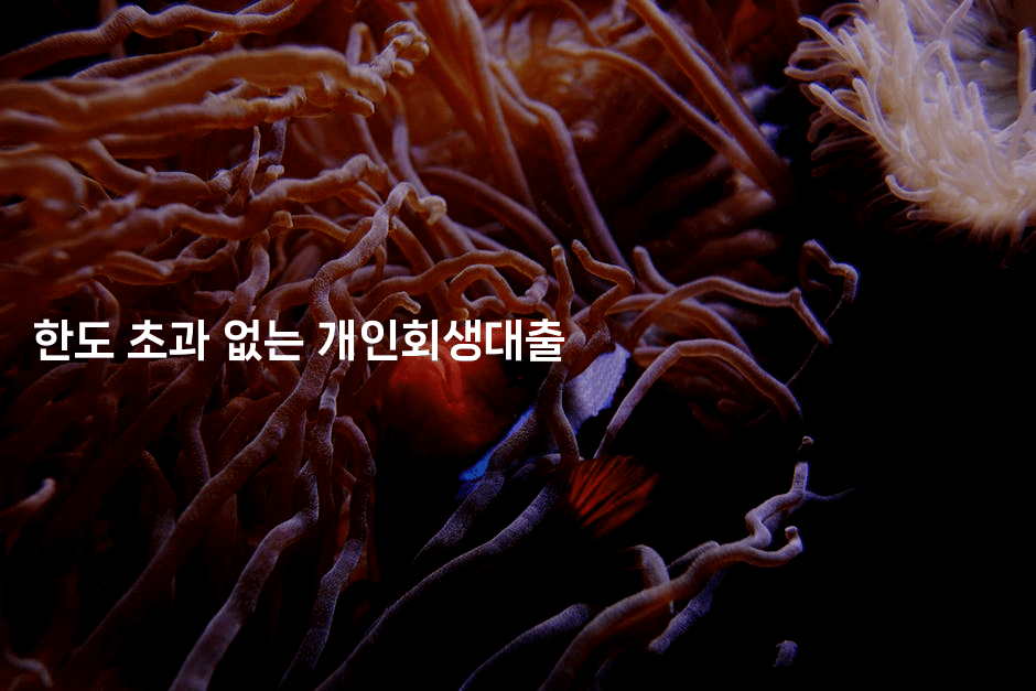 한도 초과 없는 개인회생대출-미드고