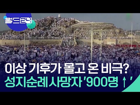 이상 기후가 몰고 온 비극?…성지순례 사망자 '900명 이상' [월드이슈] / KBS 2024.06.21.