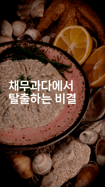 채무과다에서 탈출하는 비결-미드고