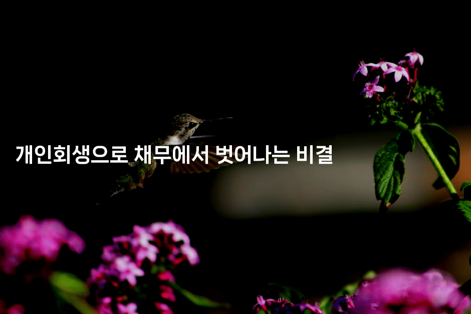 개인회생으로 채무에서 벗어나는 비결-미드고