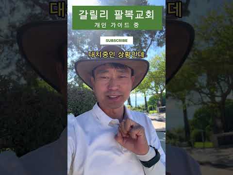 갈릴리 현재 상황 - 갈릴리 팔복교회  #이스라엘성지순례 #이스라엘여행 #갈릴리팔복교회