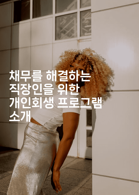 채무를 해결하는 직장인을 위한 개인회생 프로그램 소개-미드고