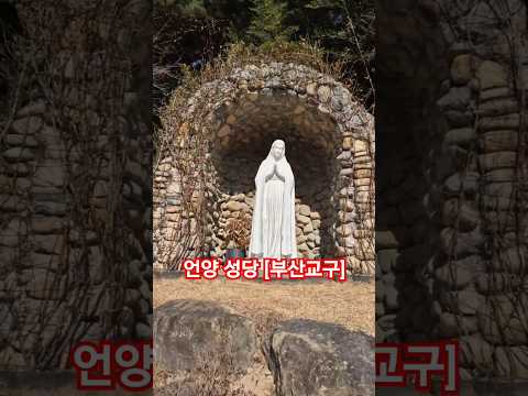 언양성당 [한국 천주교 성지순례  부산교구 25년1월19일]