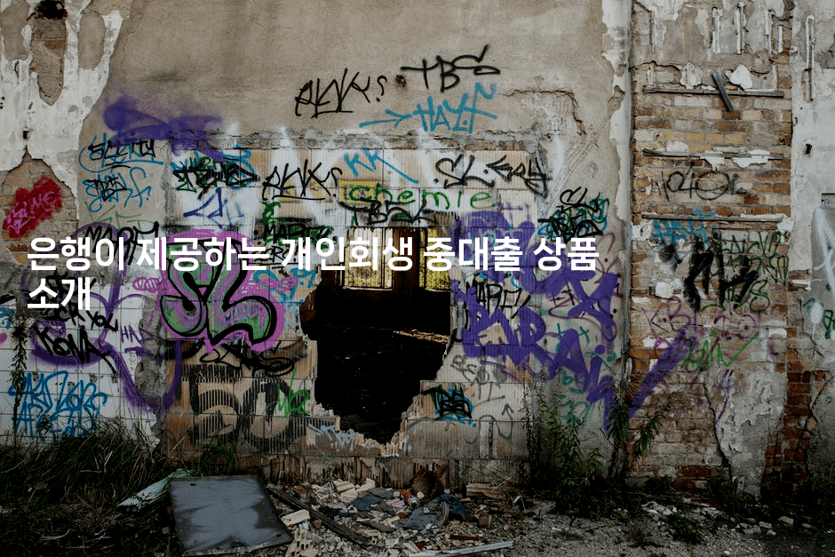 은행이 제공하는 개인회생 중대출 상품 소개