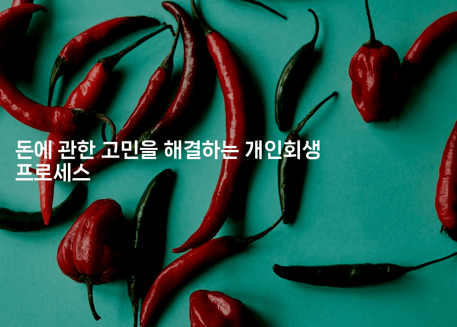 돈에 관한 고민을 해결하는 개인회생 프로세스